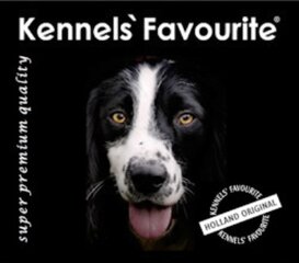 Kennels' Favourite