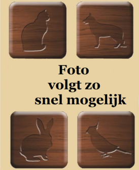 Houten Knaagdierspeeltje Kubus, 10 cm 