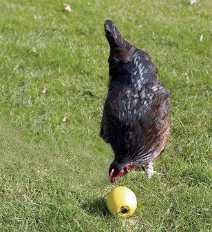 Savic Kippenbal &quot;CHICKENFUN&quot;