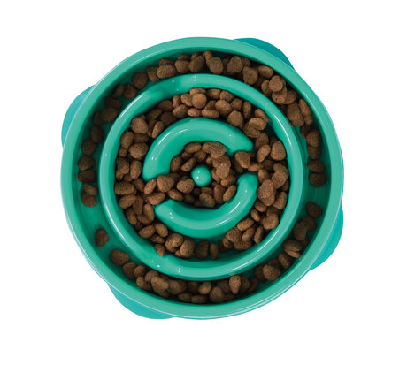 Outward Hound Fun Feeder Mini Teal 22 cm