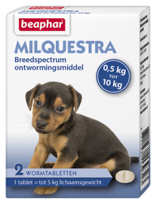 Milquestra Hond Klein en Pup 2 tablet