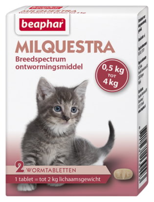 Milquestra Kat Klein en Kitten 2 tablet