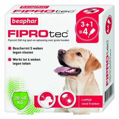 Beaphar FiproTec hond 20-40kg 3 + 1 pipet