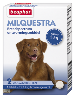 Milquestra Hond 2 tablet